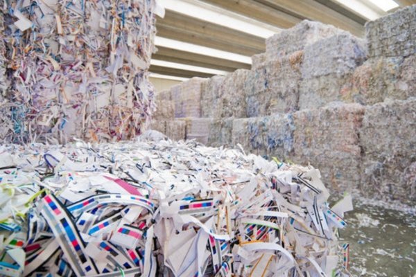 paper waste collection service img